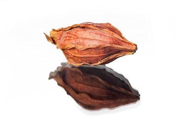 《卧龙：苍天陨落》8分钟新演示 大战野猪Boss